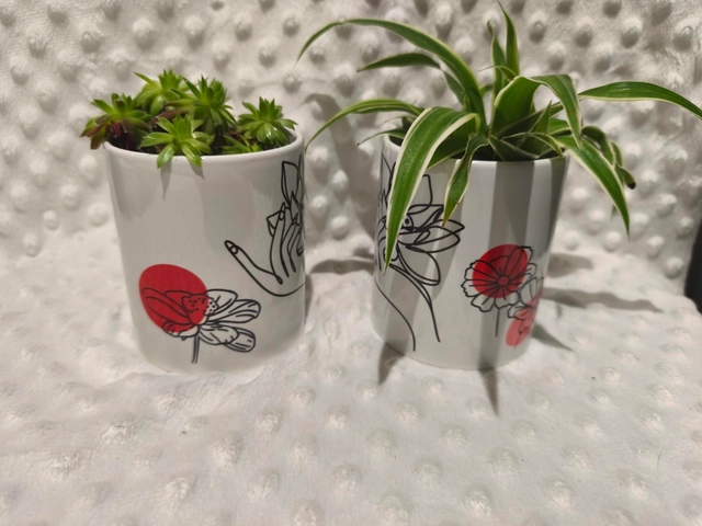 Pot de fleurs déco aux choix