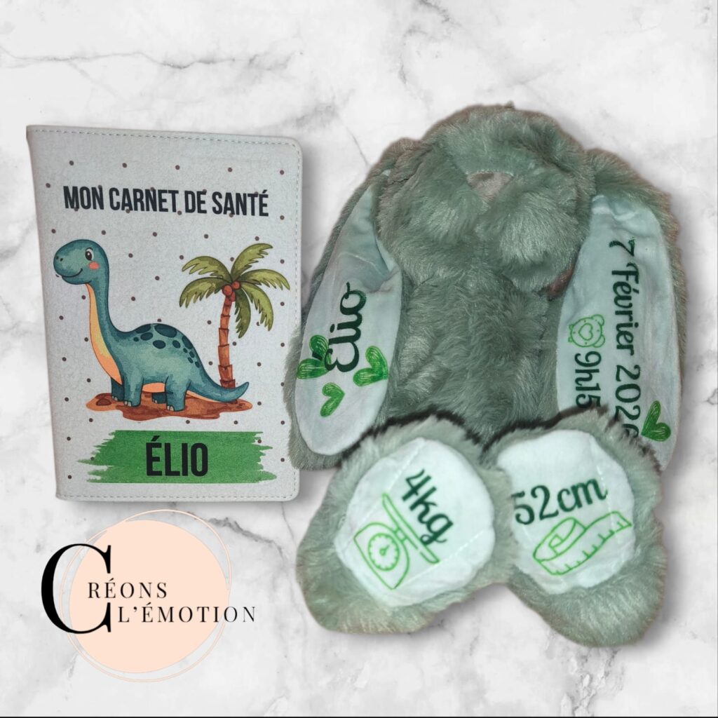 doudou personnalisé avec carnet de santé cadeau naissance